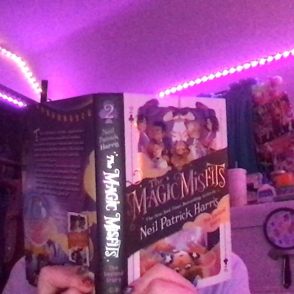 The magic misfits book #2